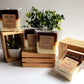 NailedByNiki2swt Bath & Body Sea Moss & Turmeric Organic Soap Bars Press on Nails Self Care Accessories